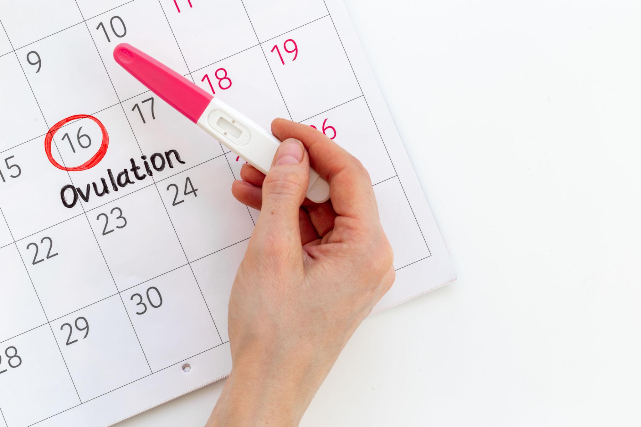 When to take a pregnancy test after the morning after pill